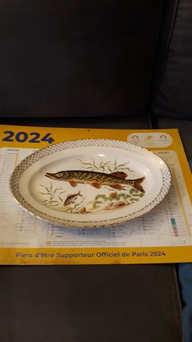 Plat brochet moulin des - plat,