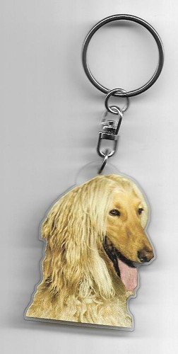 Levrier afghan chien porte - levrier,