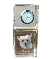 Chien chinois à crête