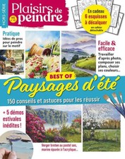 PLAISIRS DE PEINDRE 40 H BEST