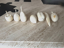 7 fruits exotique en corne os