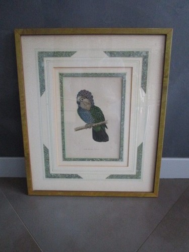 Gravure oiseau ancienne - d'oiseau,