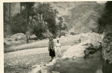 ALGERIE LOT 2 PHotos de MICHOUNECHE CHAOUI HIMSOUNINE Gorges Palmeraie 1952