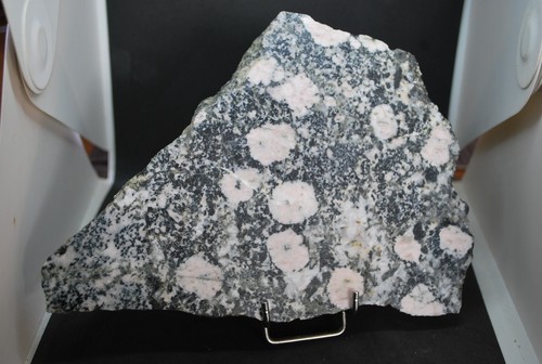 Diorite orbiculaire rose - orbiculaire,