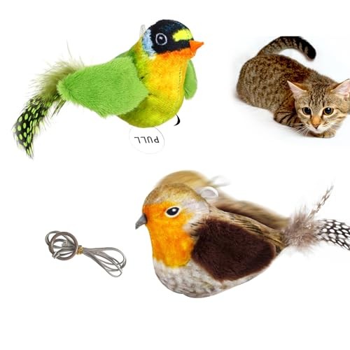 Jouets interactifs pour chats - jouets,