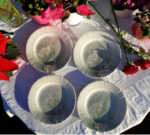 Magnifiques assiettes - 4,