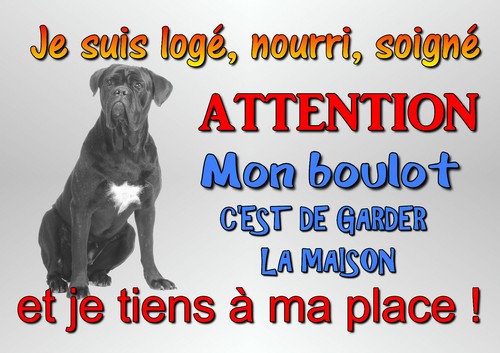 Plaque chien cane corso x - chien, 29