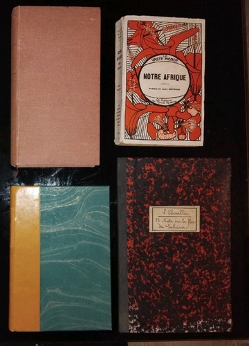 Lot livres sahara - lot, 04