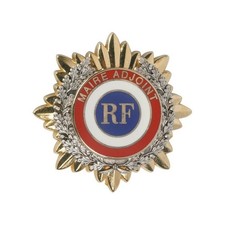 BROCHE SOLEIL ET FEUILLAGE DE