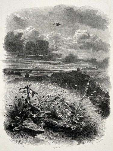 Paysage lithographie francais - paysage,