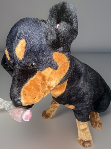Maverick dlux doberman - maverick,