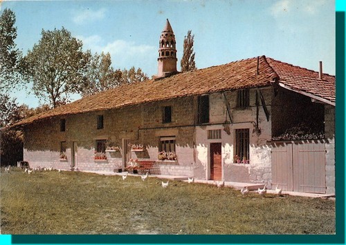 Cpm ferme bressane - cpm,
