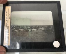 ANCIEN NEGATIF PHOTO PLAQUE DE