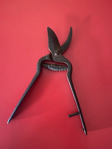Sécateur ancien vannier - sécateur, vannier.