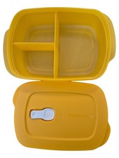 Tupperware Boîte Transport