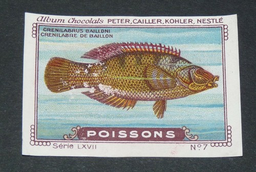 Chromo peter cailler - chromo, kohler