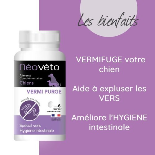 Vermifuge pour chiens expulse