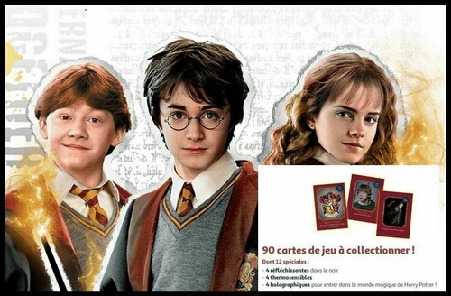 Cartes harry potter le - cartes,