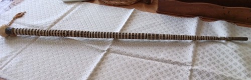 Canne vertebres squale - de,