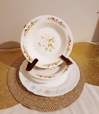 Lot de 5 Assiettes Creuses + 1 Grande Assiette Plate Arcopal en Verre 