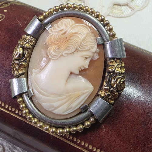 Broche camée coquille - broche,