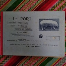 Le porc Anatomie Physiologie Races La Maison Rustique vers 1920