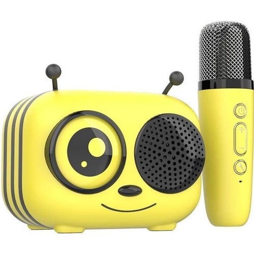 Kit karaoké enceinte - karaoké, /