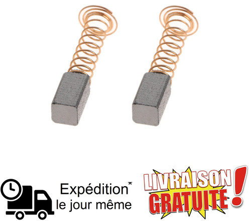 Paire charbons brosses pour - charbons,