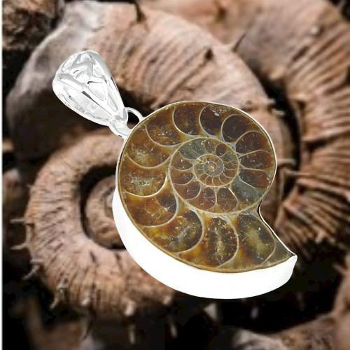 Collier pendentif fossile en - collier,