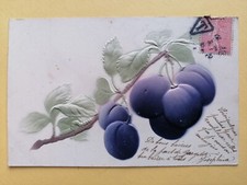 cpa de 1906 Illustration Fantaisie gaufrée en relief GRAPPE de PRUNES
