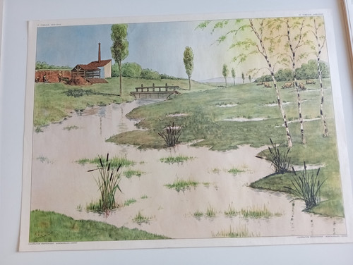 Affiche scolaire landes - affiche,