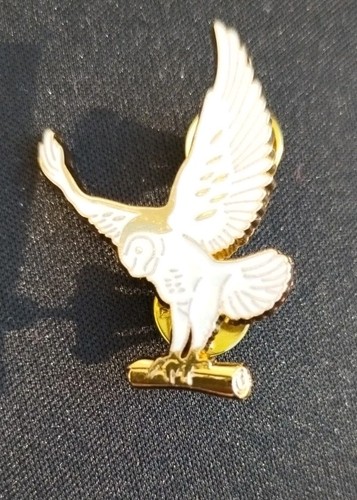 Insigne brevet renseignement - insigne,