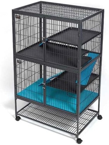 Ferret nation bottom pan - ferret,
