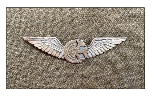 Ww2 brevet pilote aaf - ww2,
