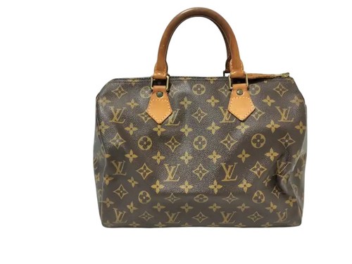 Louis vuitton speedy monogram - louis,