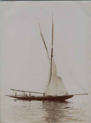 Voilier - ou, luciole)