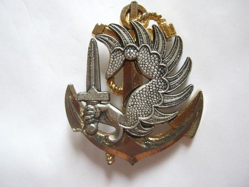 Insigne beret tap tdm - insigne,