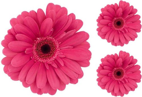 Set autocollant sticker - set, 3x