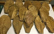 Offre spéciale 1kg Premium