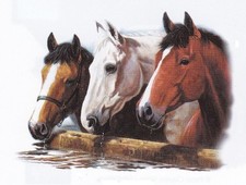 SUPERBE TEE SHIRT CHEVAUX