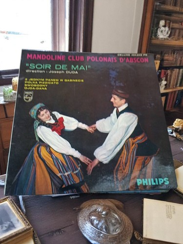 Disque vinyle 33t - vinyle, mandoline