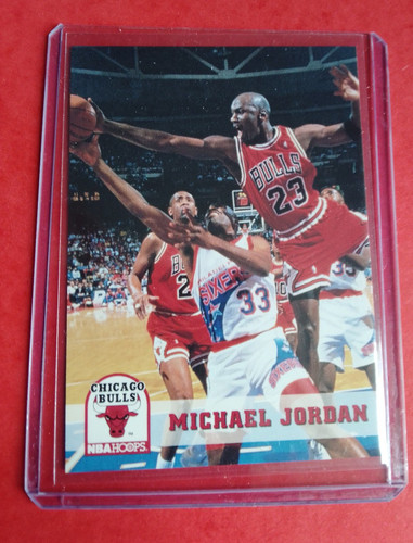 Basketball nba skybox michael - basketball,