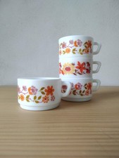 Lot de 4 tasses  Arcopal Scania et Flore Vintage 70'