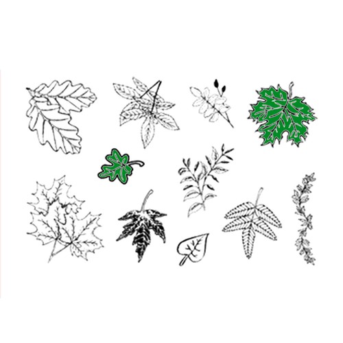 Tampons transparents feuilles - transparents,