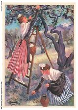 APDP11-0681-ILLUSTRATEUR-HOMUA