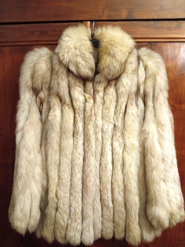 Veste renard bleu - , 38/40