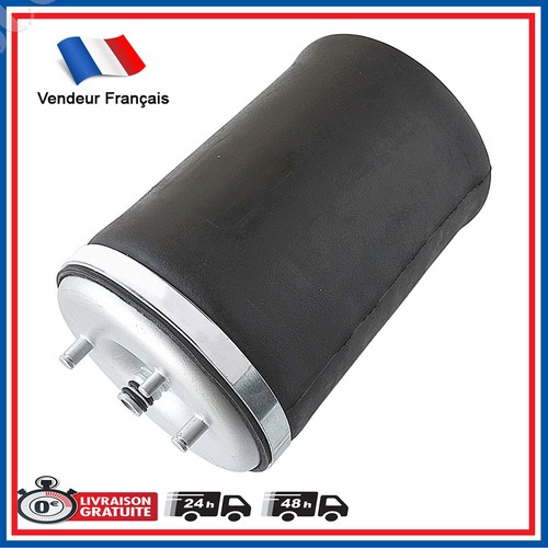 Amortisseur pneumatique