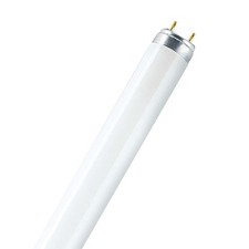 Osram Tube Fluorescent LUMILUX