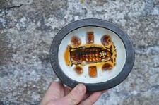 Vide Poche Signé Raymond Quillivic Dimensions: 15,5x13,5cm Era Keraluc 