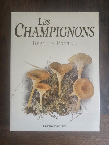 Les champignons béatrix - champignons,